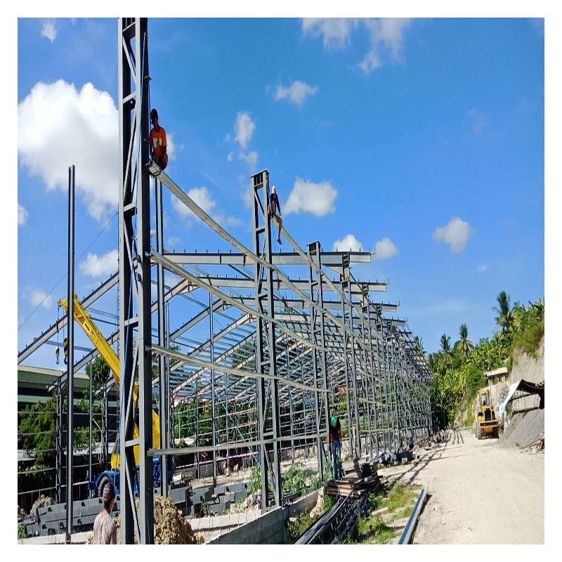 Philippine Steel Structure For Wide Extension Of Workshop Nhà máy kho